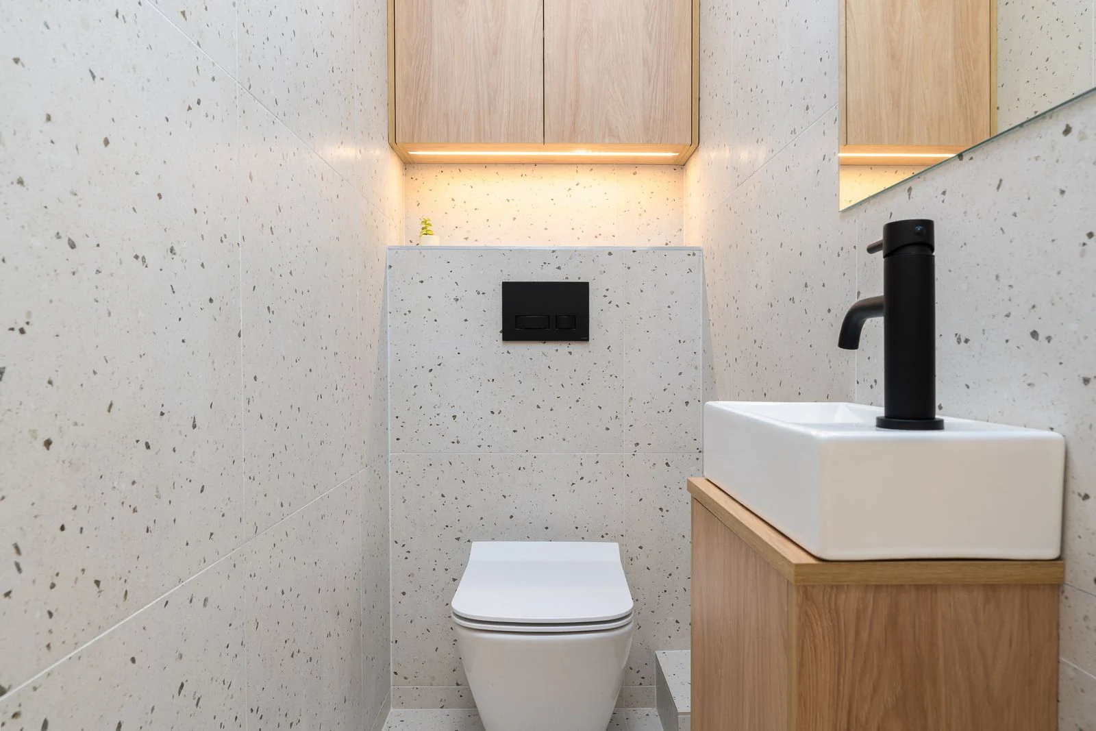 Wall-hung toilet beside a wood vanity